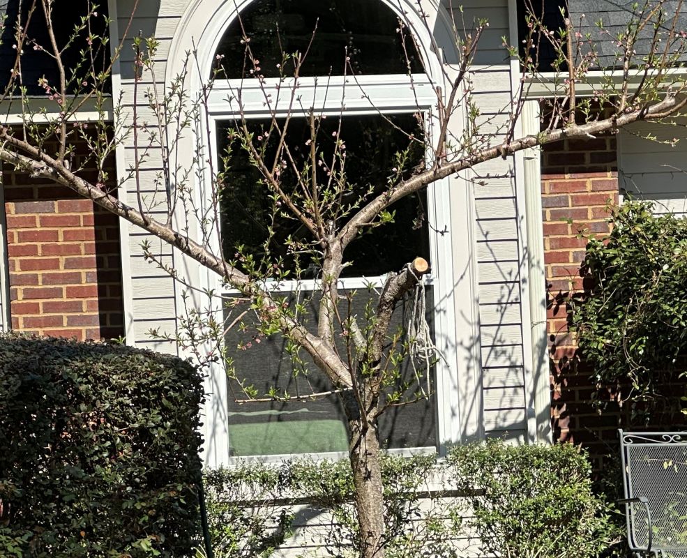 Half round over double hung no grids