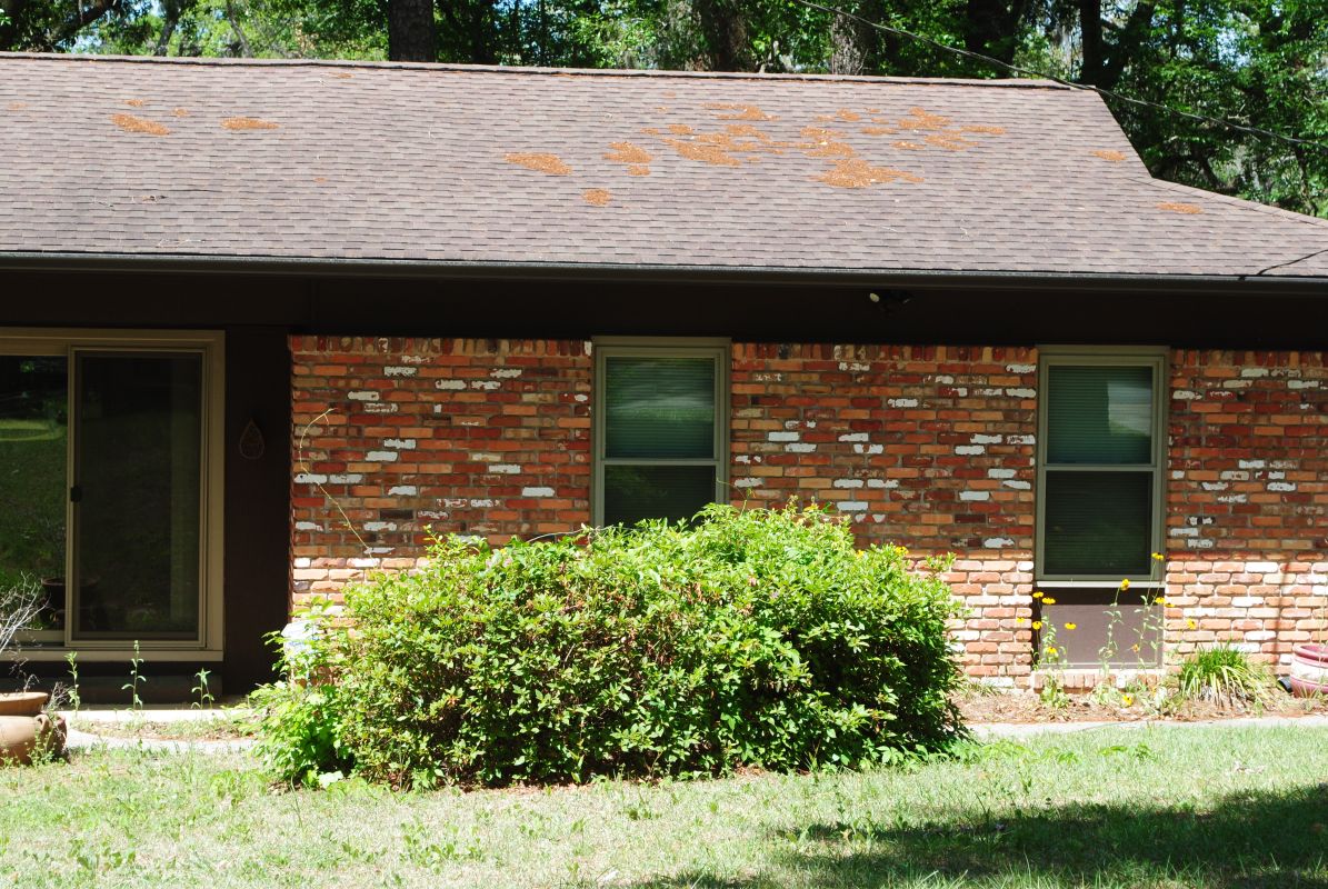 Clay windows in medium brick